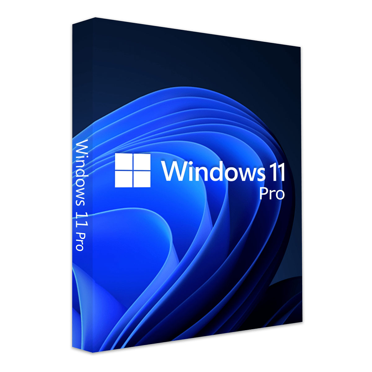 Windows 11 Pro OEM Key